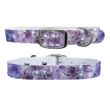 Amethyst Dog Collar Dog Collar C4 BELTS