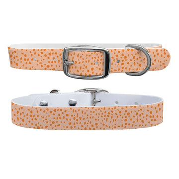Pumpkin Flecks Cream Dog Collar Dog Collar C4 BELTS
